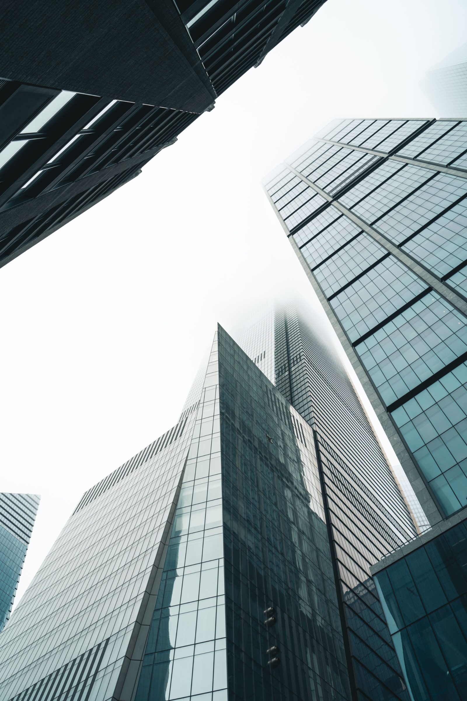 Family offices & institutions